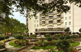 The Dorchester Weddings reviews