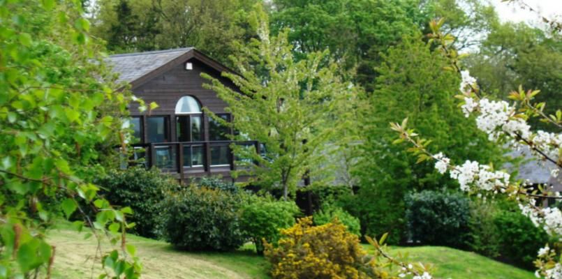 Loch Lomond Lodges photo 31