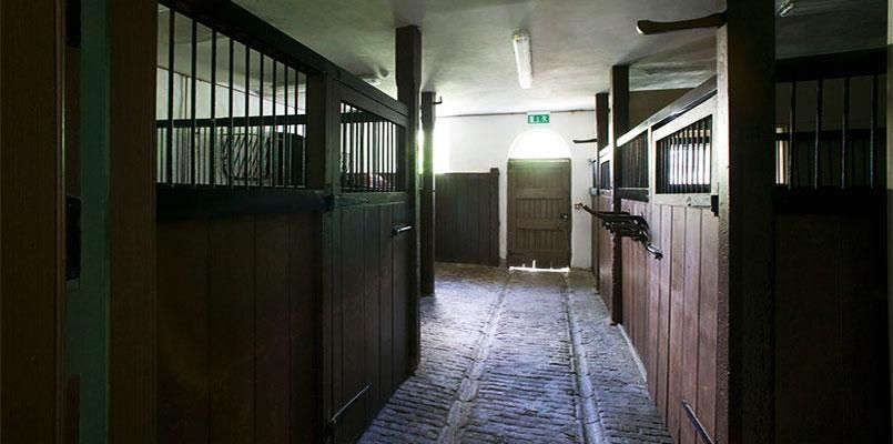 The Merrion Mews photo 9