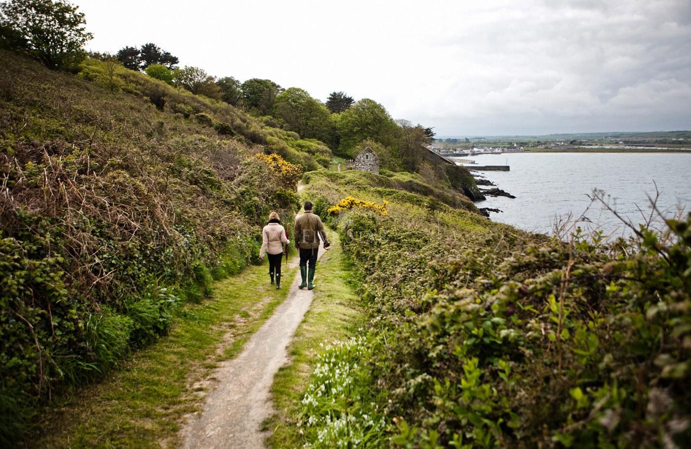 Cliff Cottage photo 9