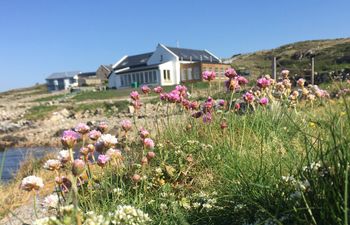 Cashel Bay Cottage & Beach