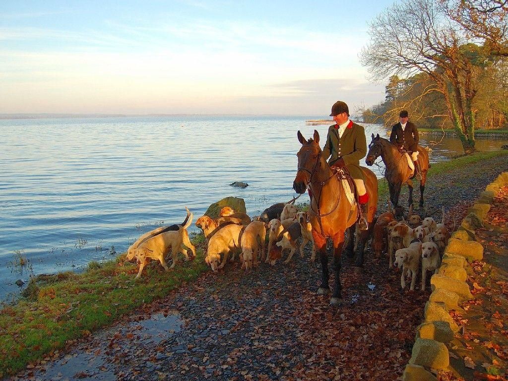 Lough Derg Lodge photo 11