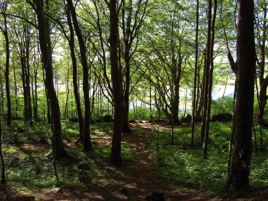 Lough Derg Lodge photo 14