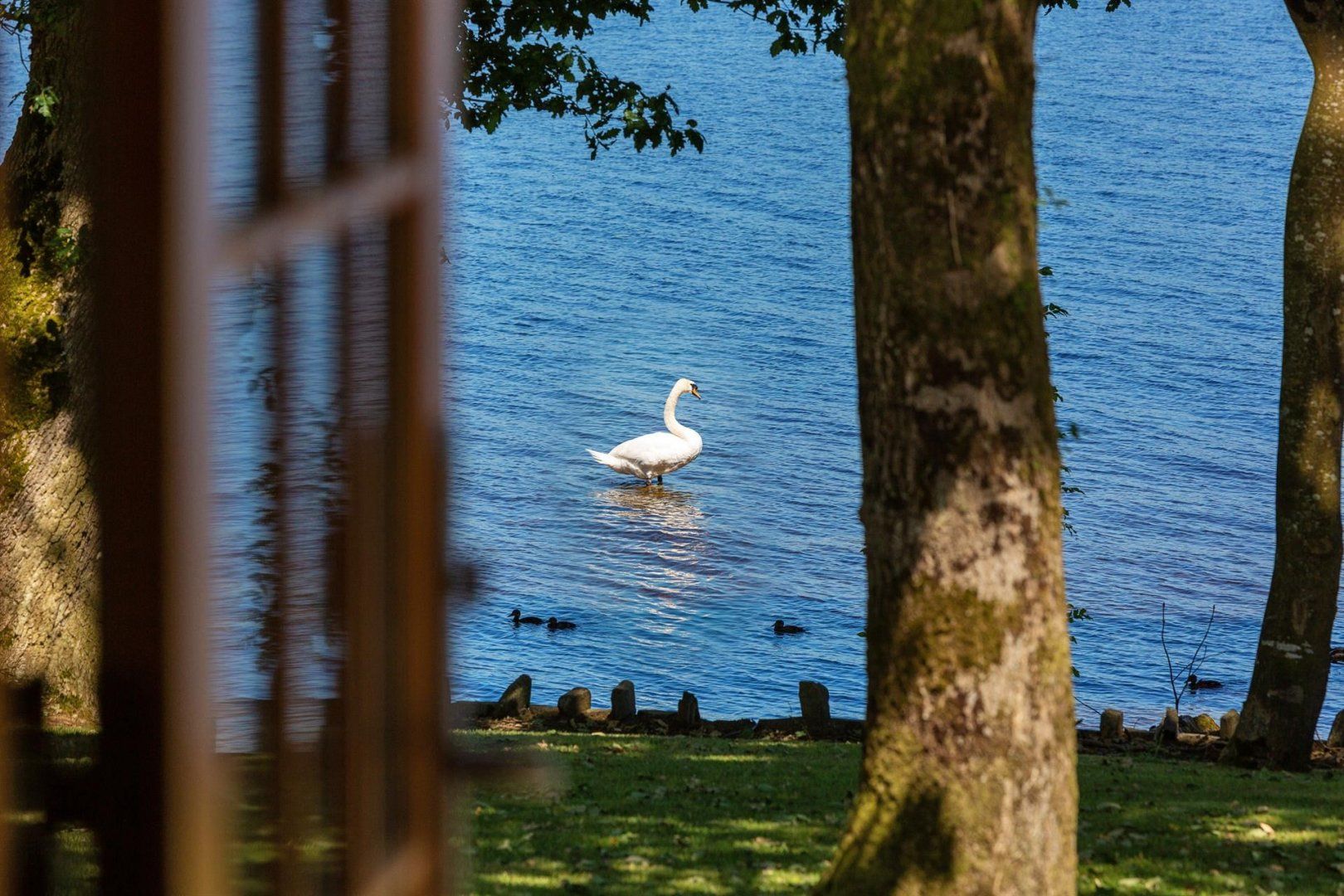 Lough Derg Lodge photo 23