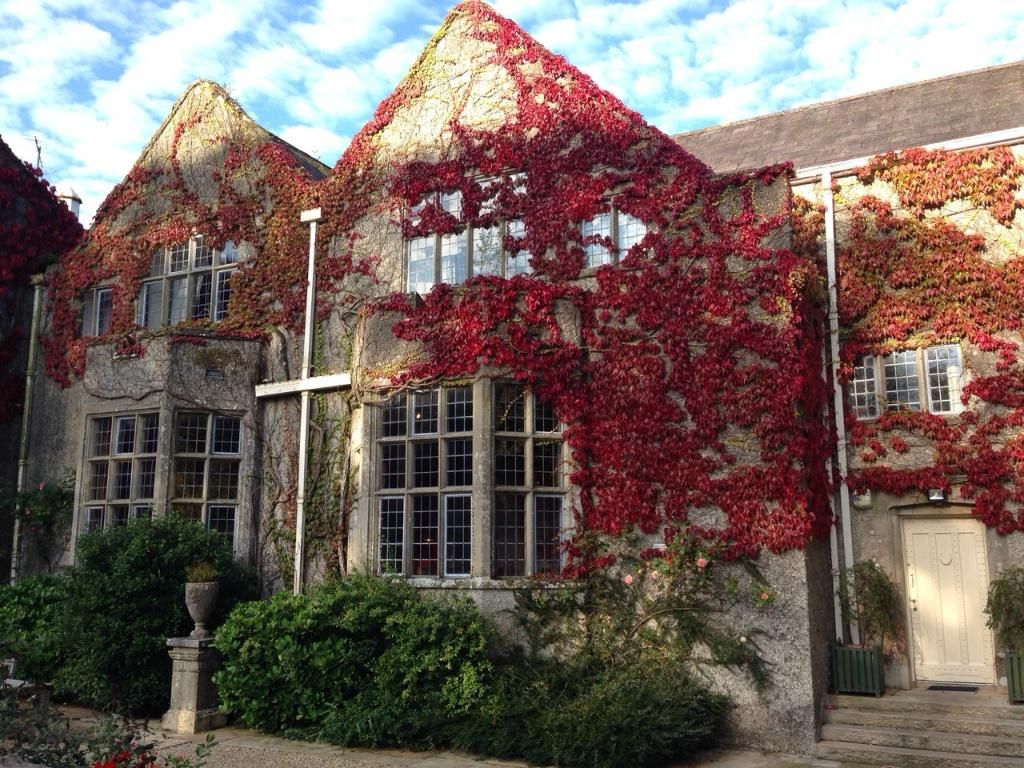 Belle Isle Courtyard Cottages photo 3