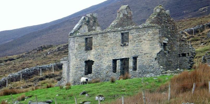 Panacea photo 17
