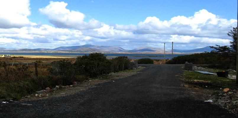 Panacea photo 14