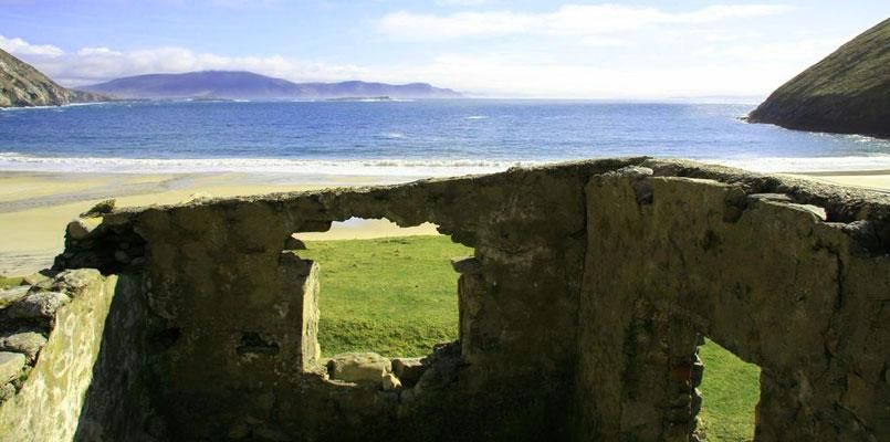 Panacea photo 19