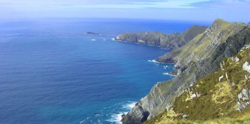Panacea photo 18
