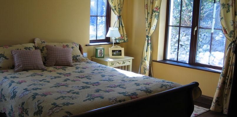 Panacea photo 10