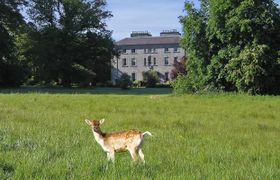 Coopers Hill Sligo 