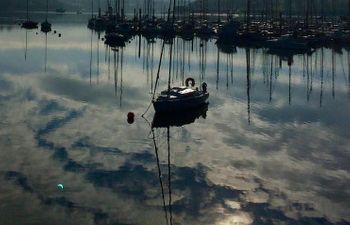 Kinsale Shearwater