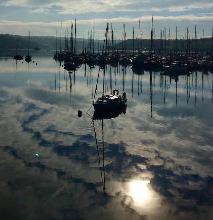 Kinsale Shearwater photo