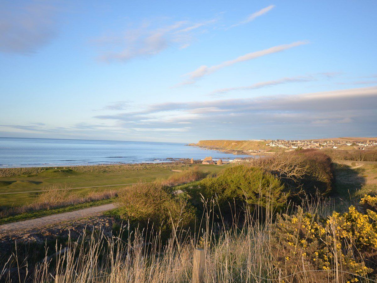Buckie Cottage photo 9