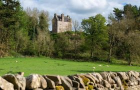 House in Scottish Borders reviews