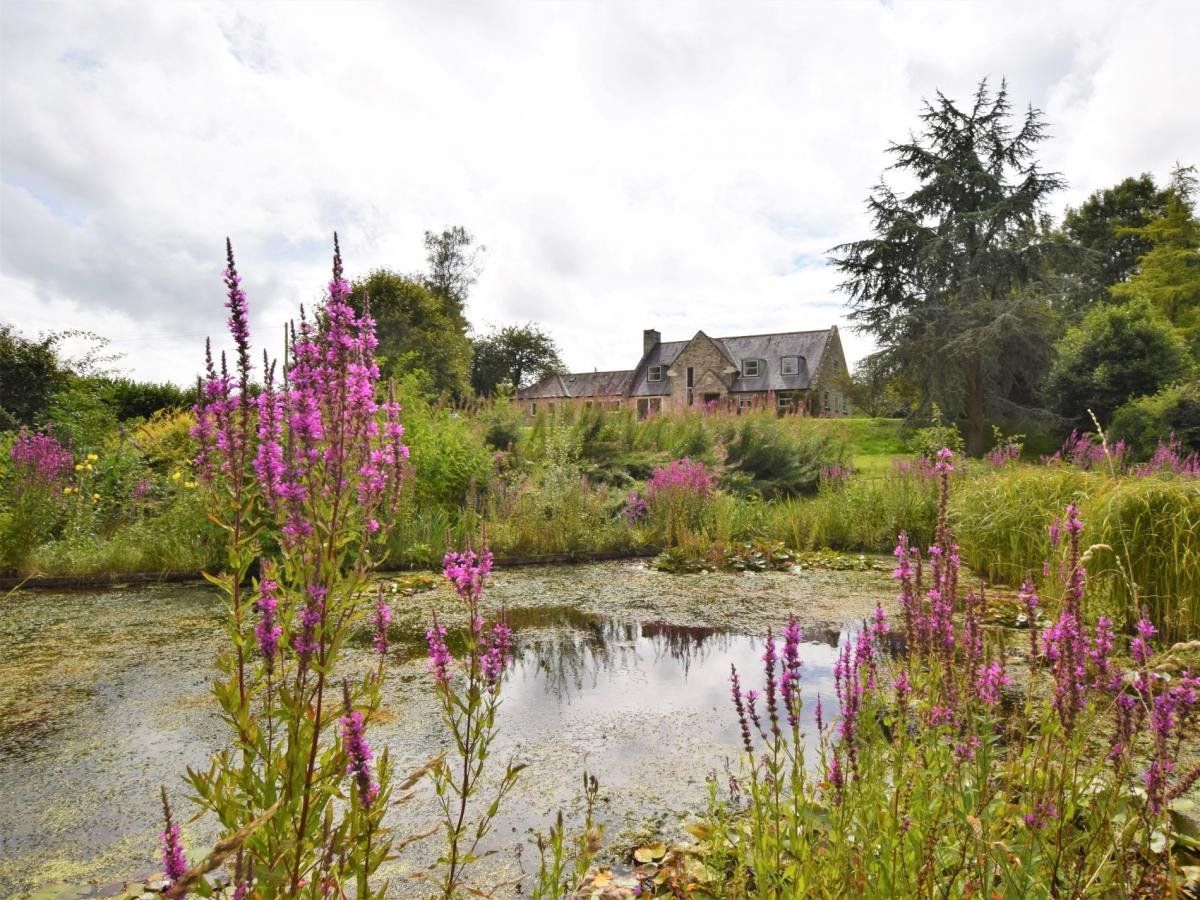 House in Dorset photo 1