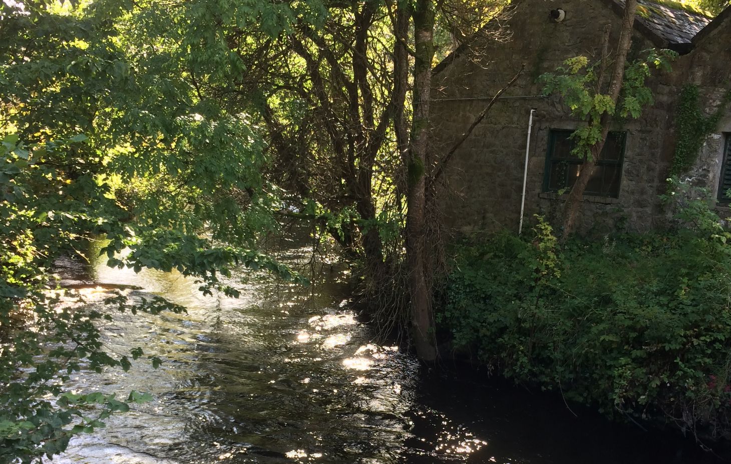 Thoor Ballylee River Retreat photo 8