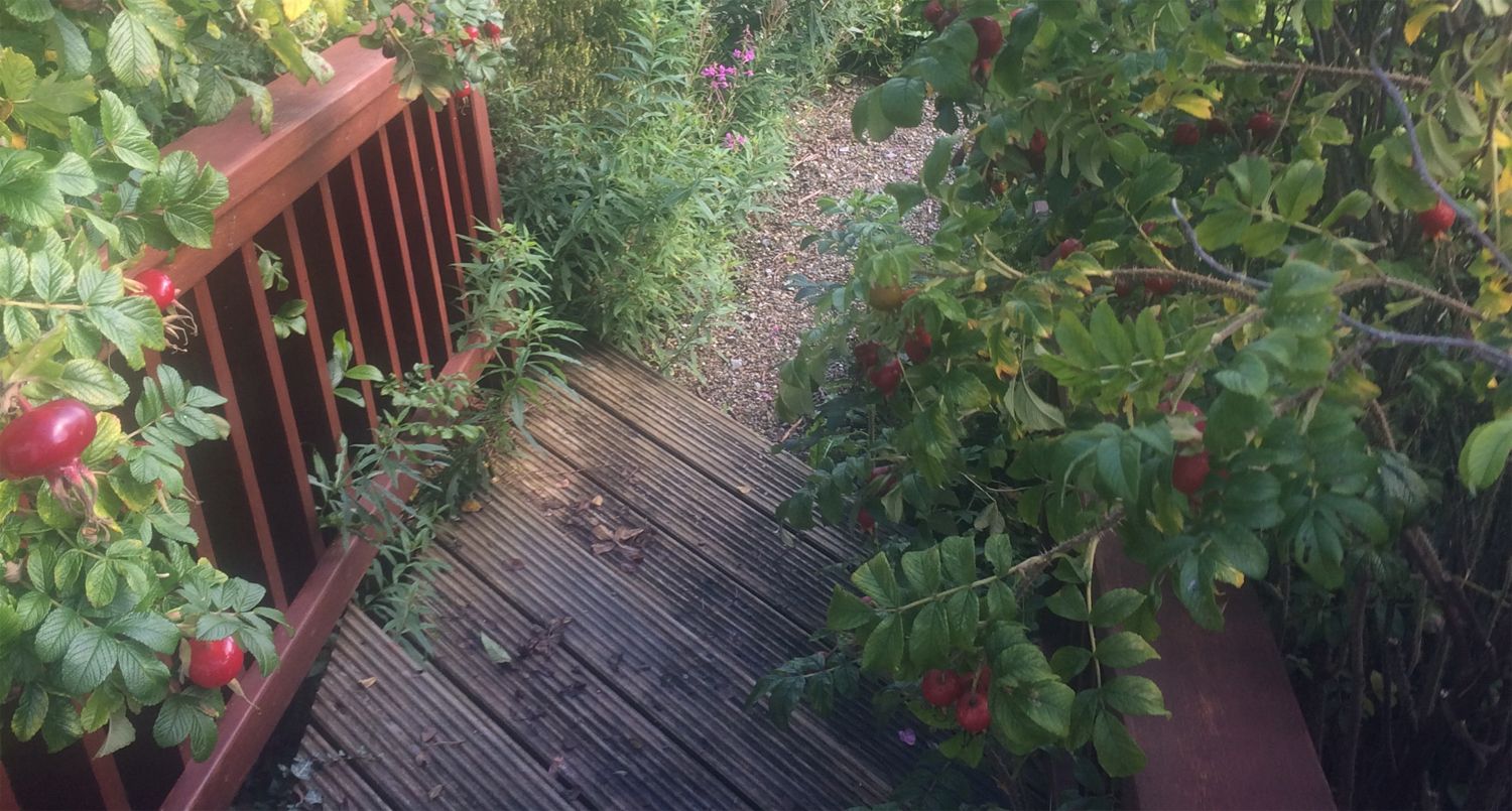 Thoor Ballylee River Retreat photo 6