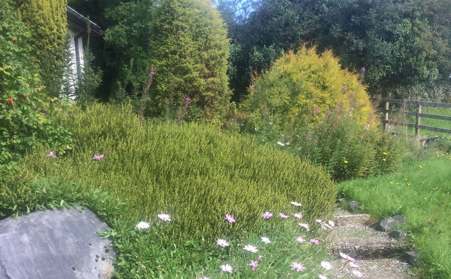 Thoor Ballylee River Retreat photo 5