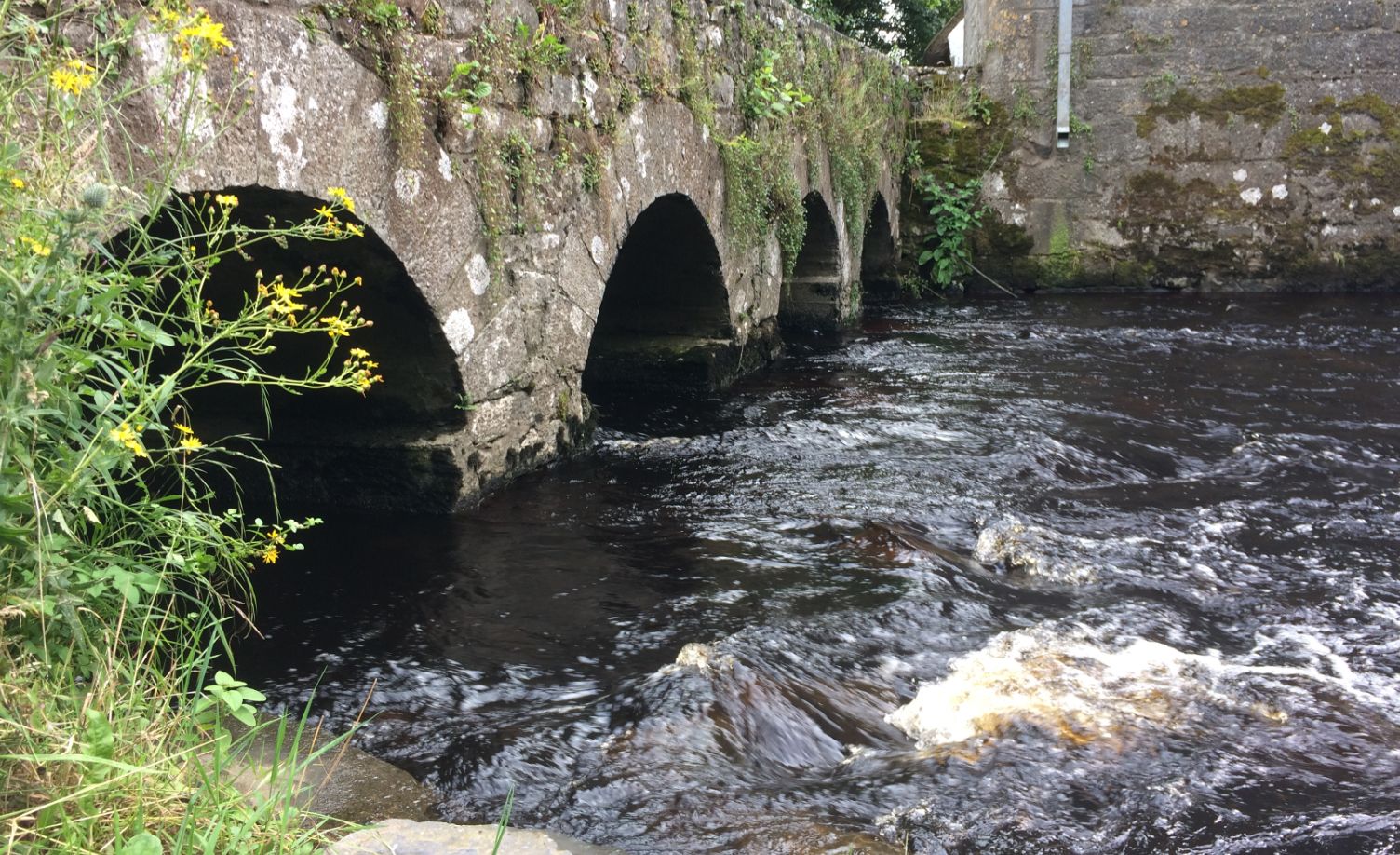 Thoor Ballylee River Retreat photo 3