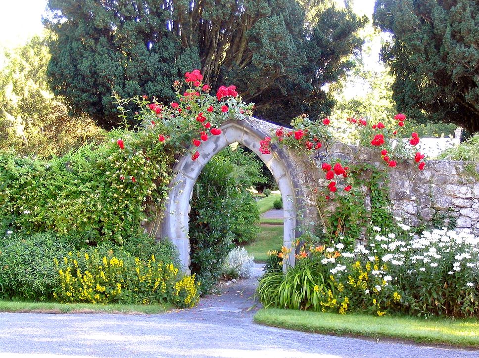 Ross Castle photo 19