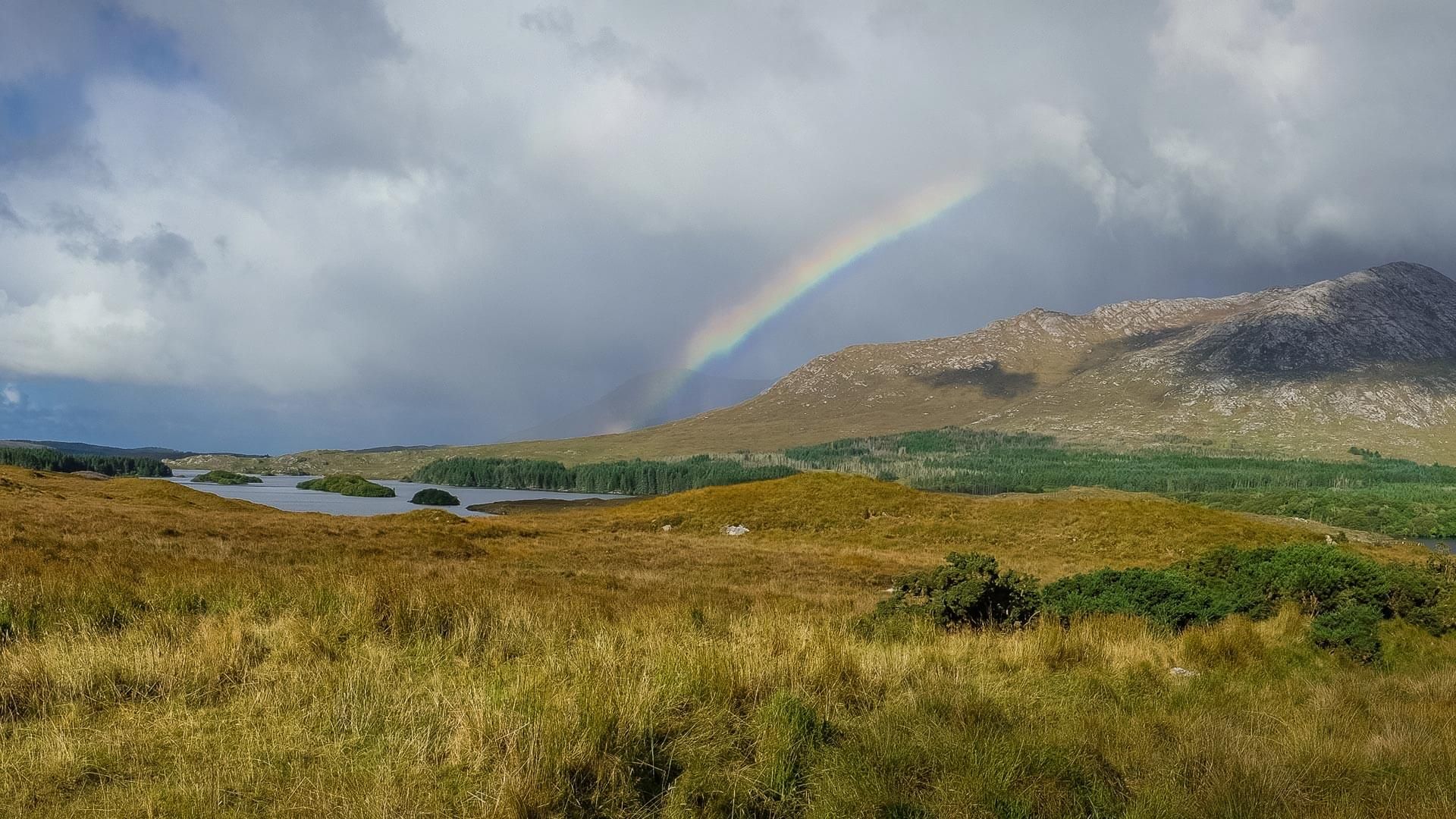 Holiday Cottages at Connemara Sands photo 9