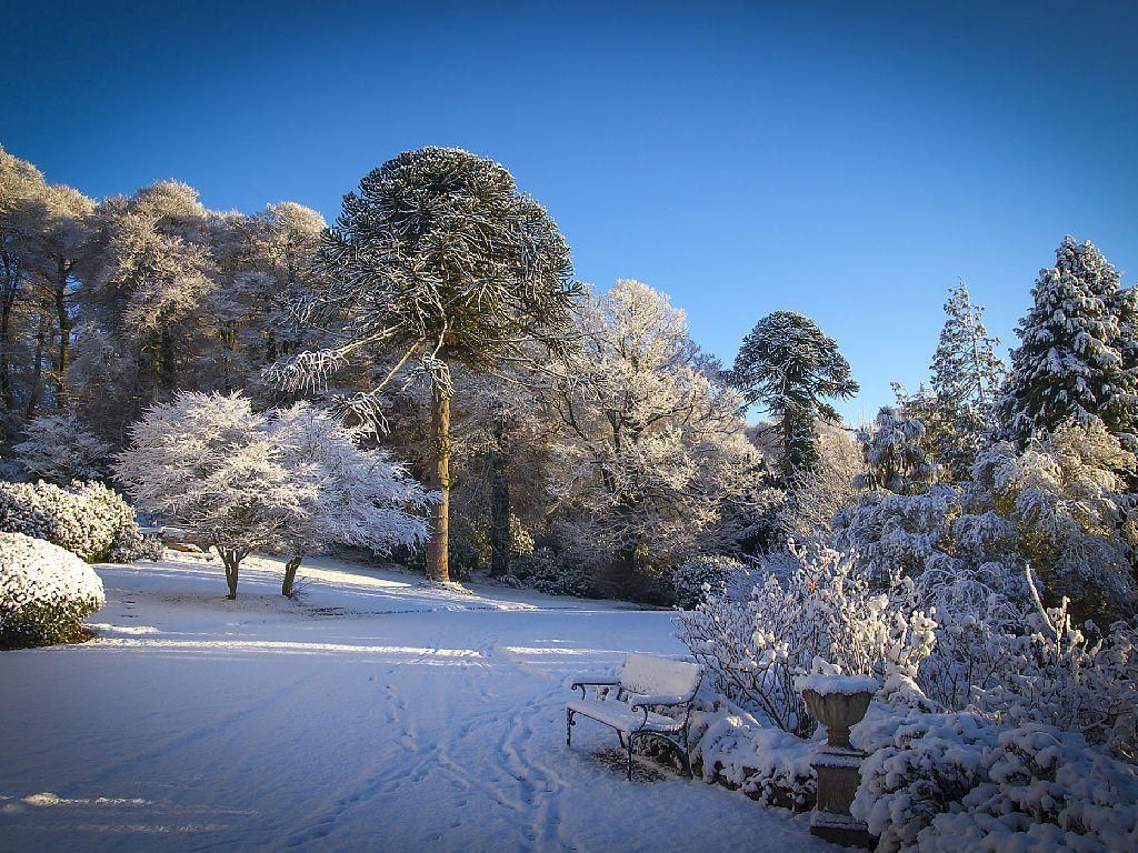 West Cork Mansion House photo 3