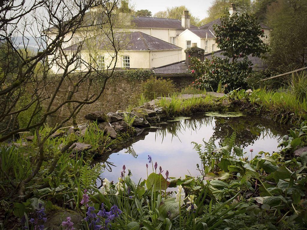 West Cork Mansion House photo 2
