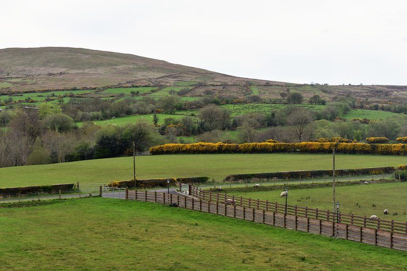 Glenshane Country House photo 4