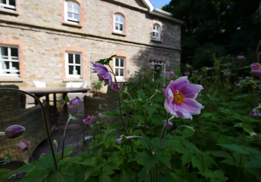 The Mill and Barn photo