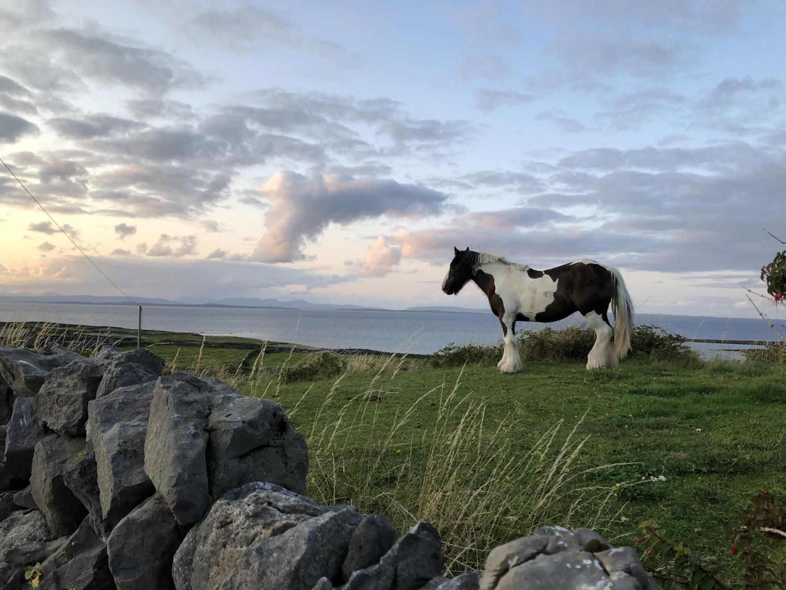 Aran Walkers Lodge photo 8