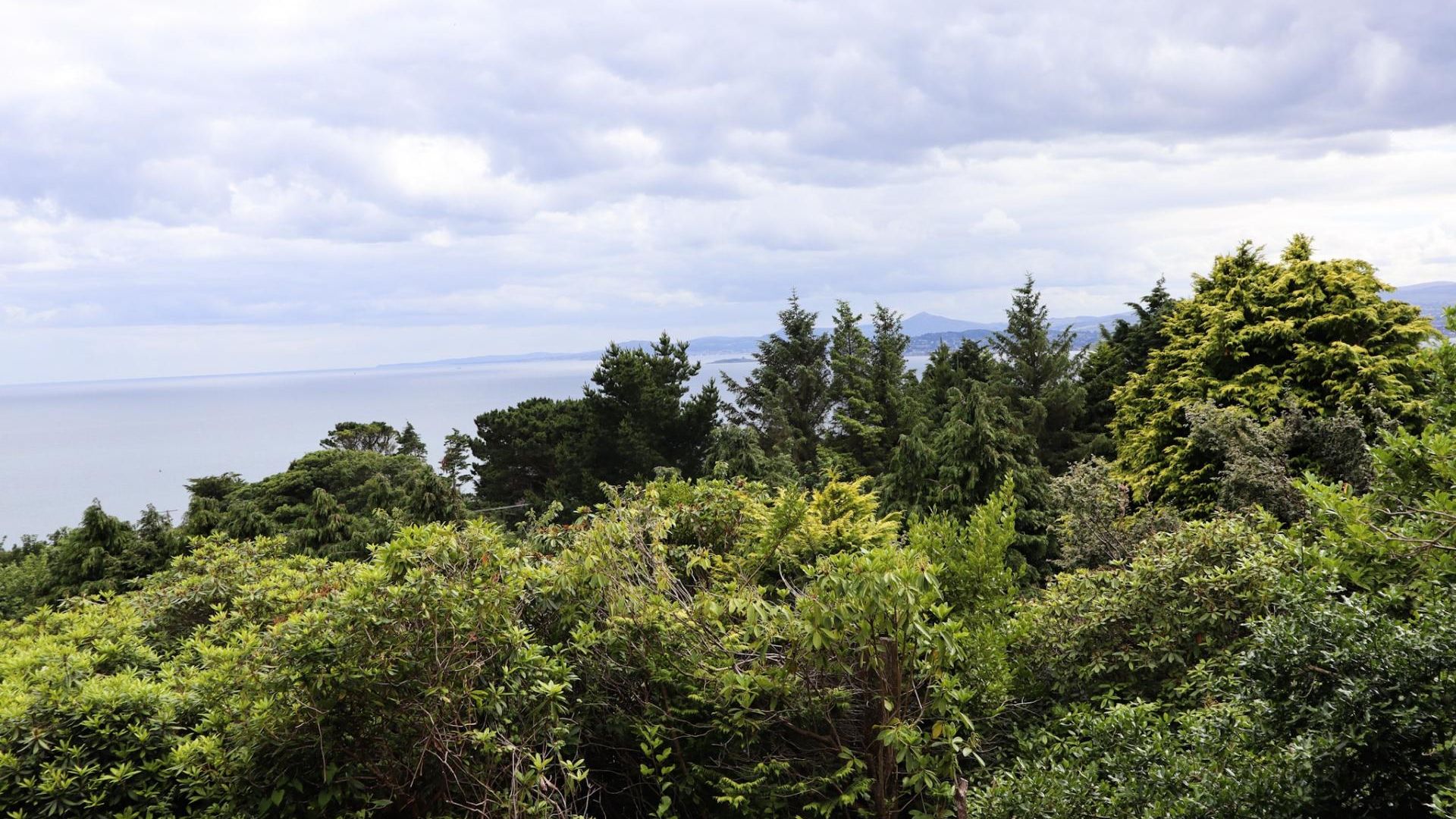 Ocean View Howth photo 4