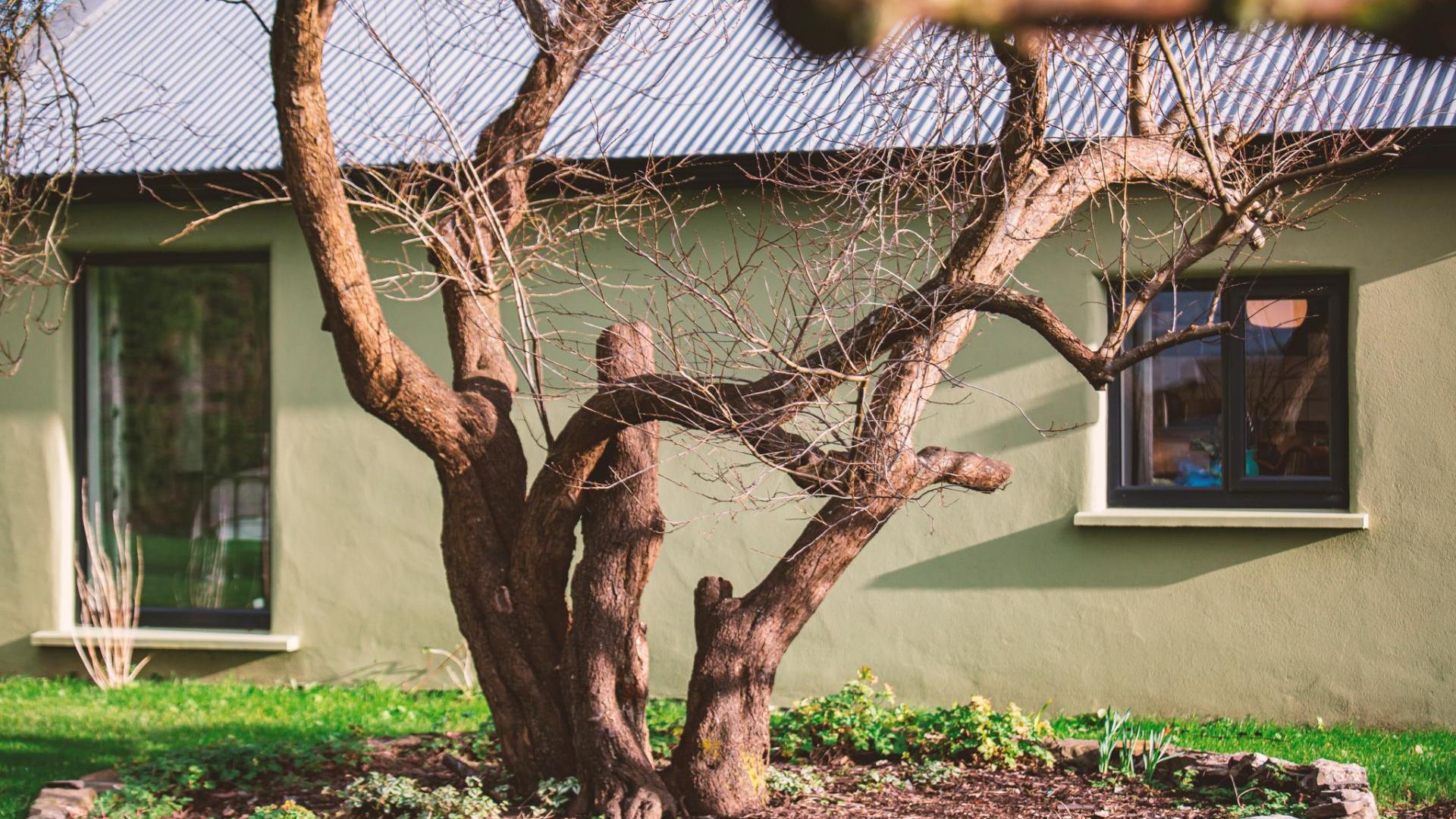 The Garden Shed at The Roost Westport Town photo 9