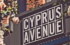 Cyprus Avenue reviews