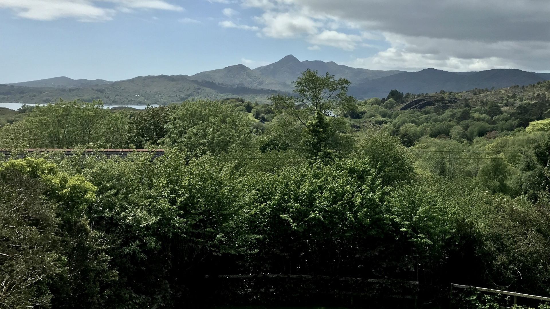Patch House Glengarriff photo 3