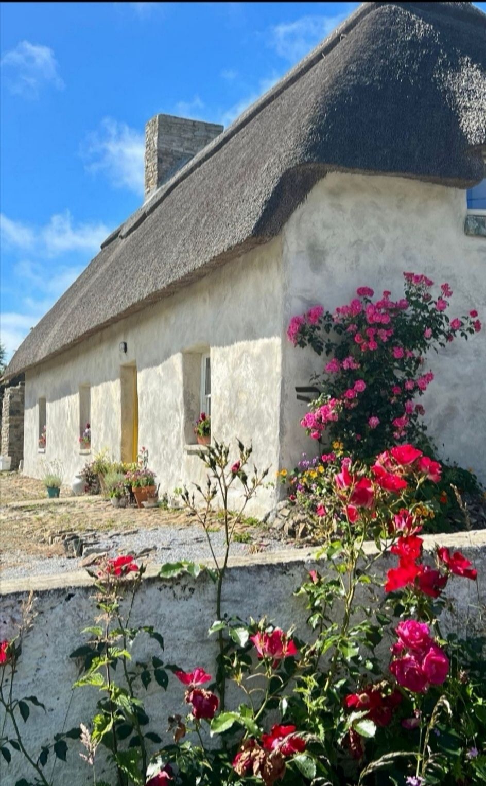 Thatched Cottage with panoramic views photo 13