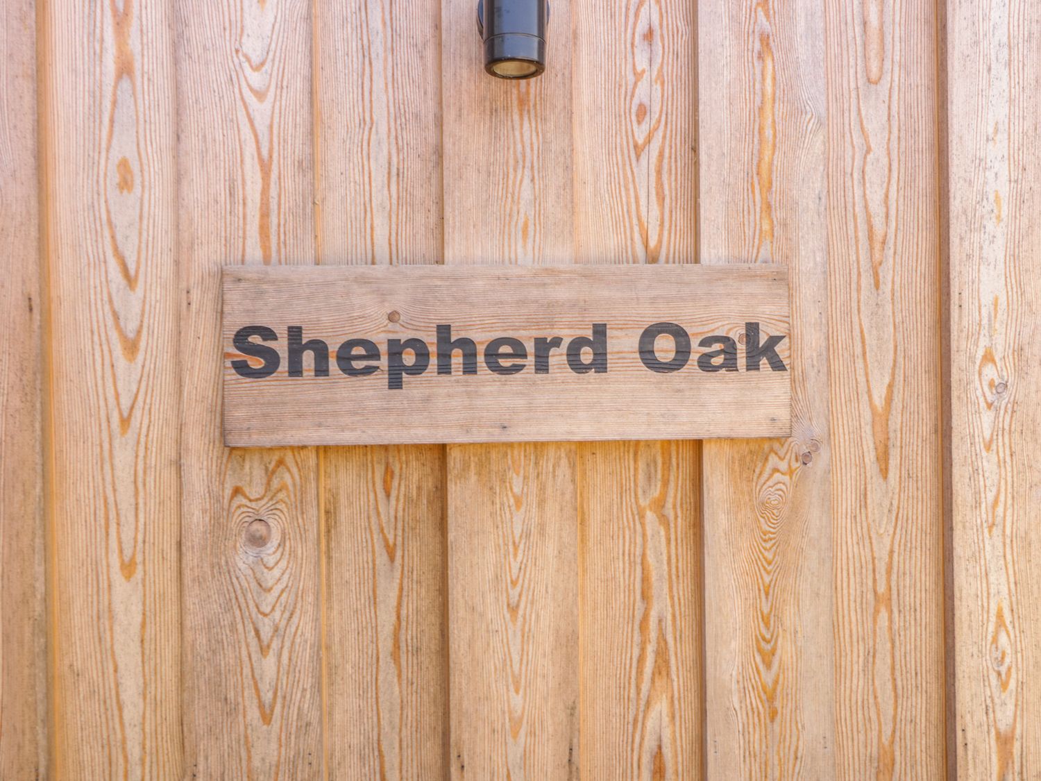 Shepherd Oak photo 5