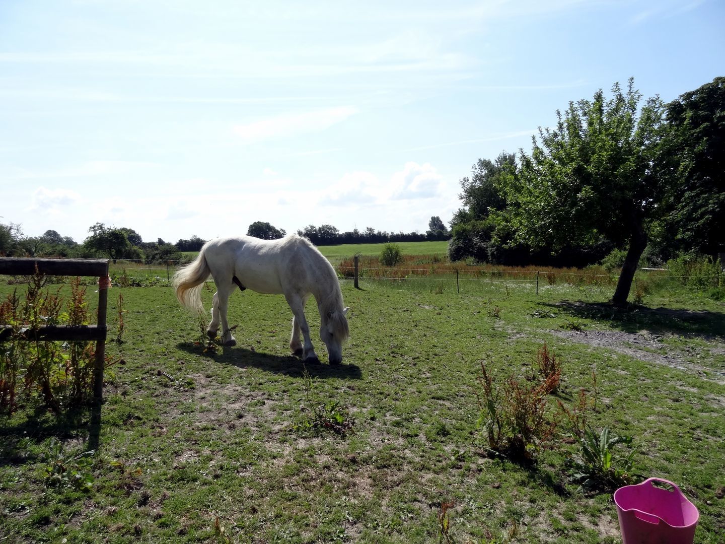Pittards Farm Cottage photo 6