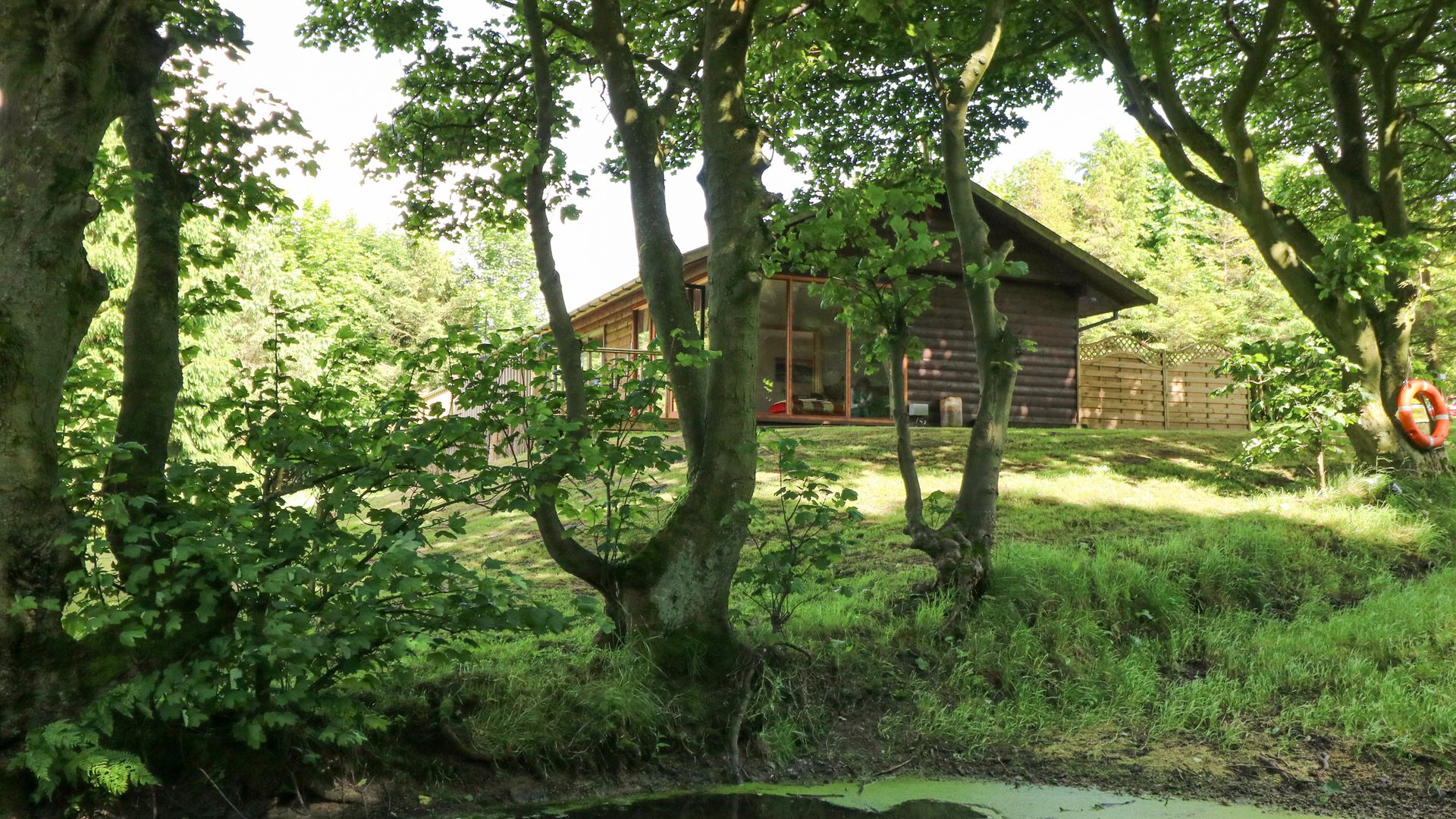 Pond Farm Woodlands photo 2