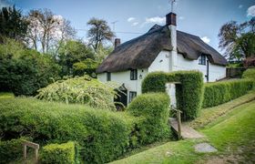 Foley's Cottage reviews