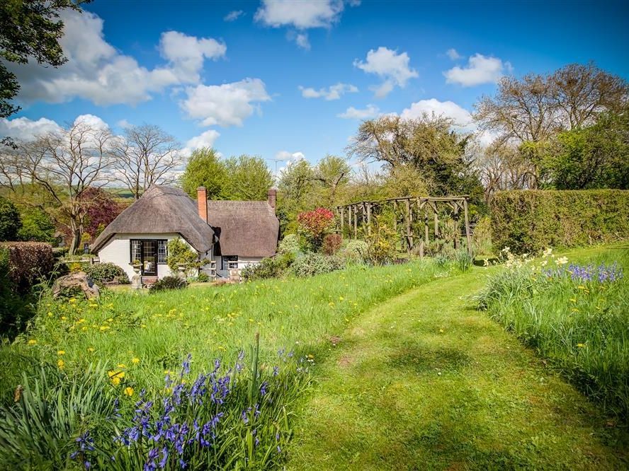Foley's Cottage photo 8
