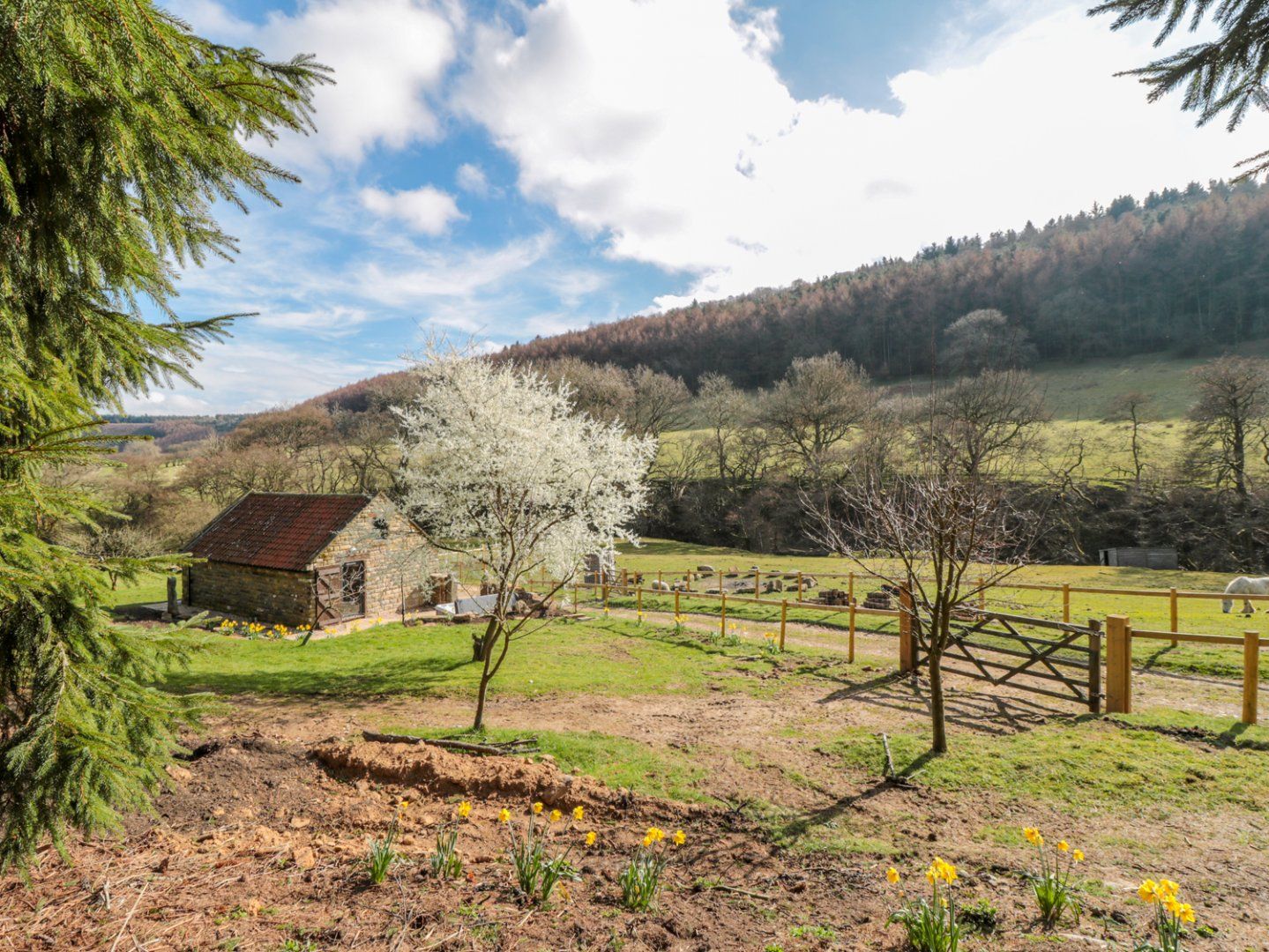 Thompson Rigg Barn photo 1