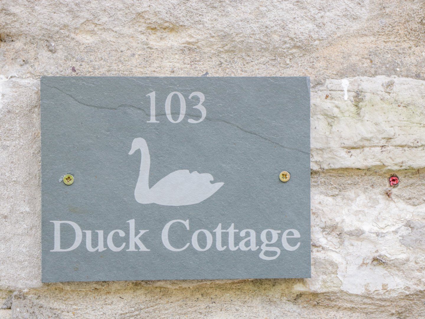Duck Cottage photo 3