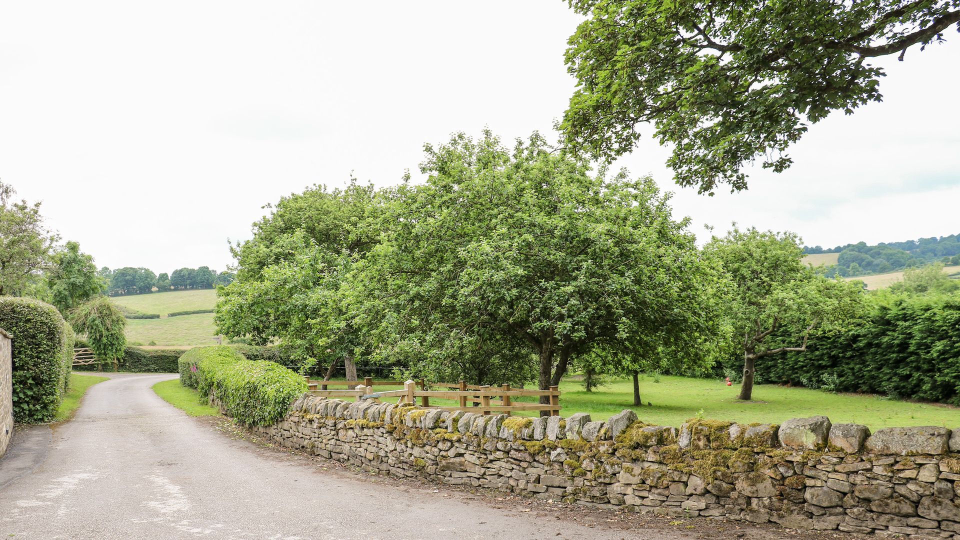 Bluebell Cottage photo 6