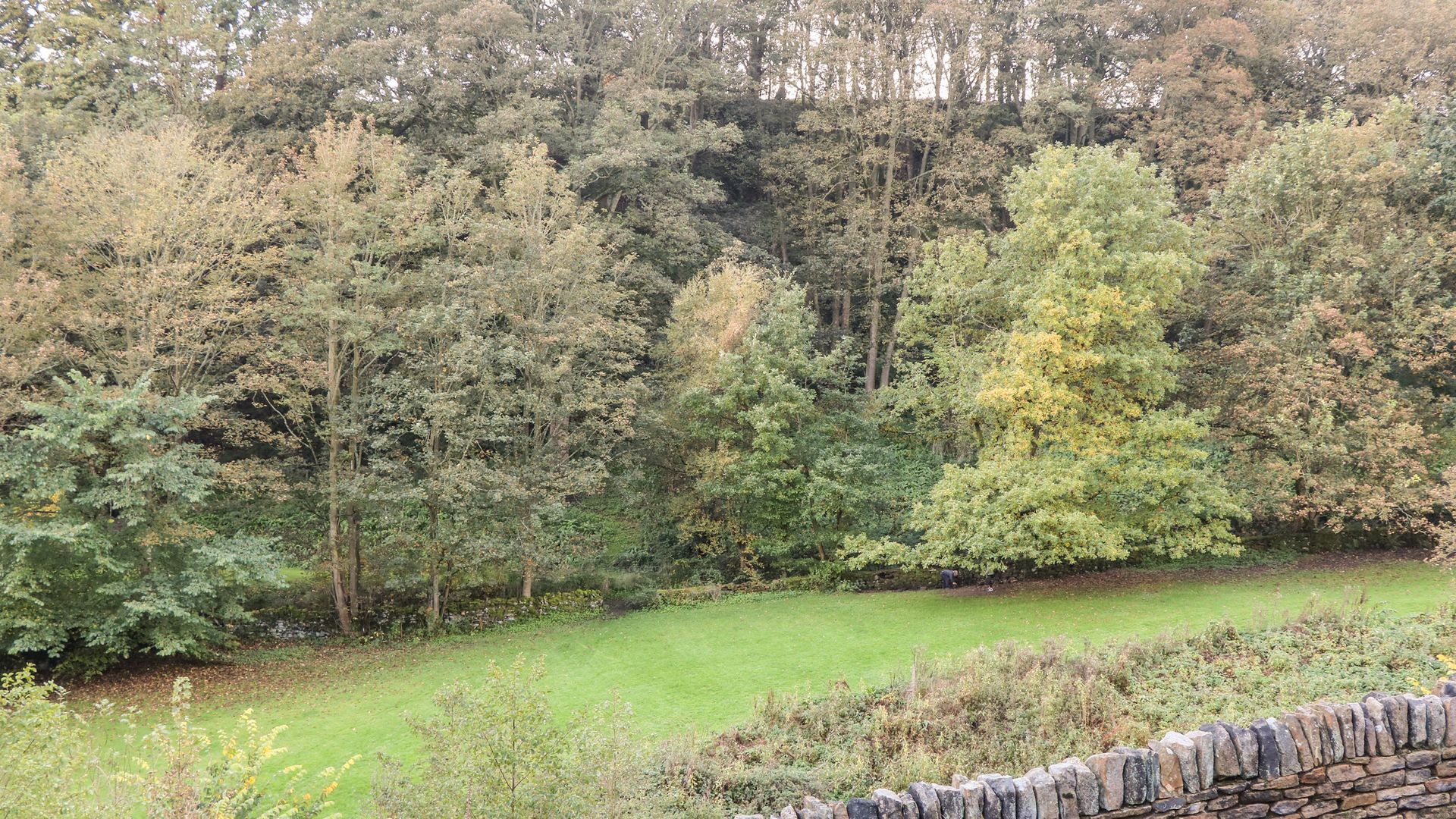 Springwood Cottage photo 8