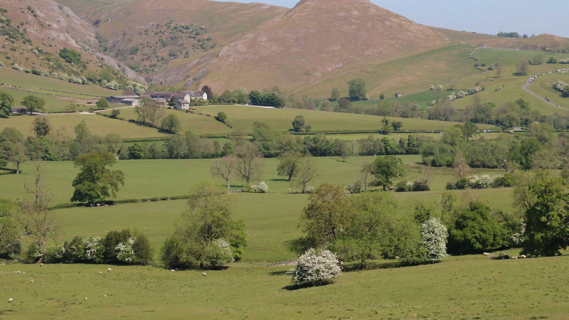 Manifold Dale photo 7
