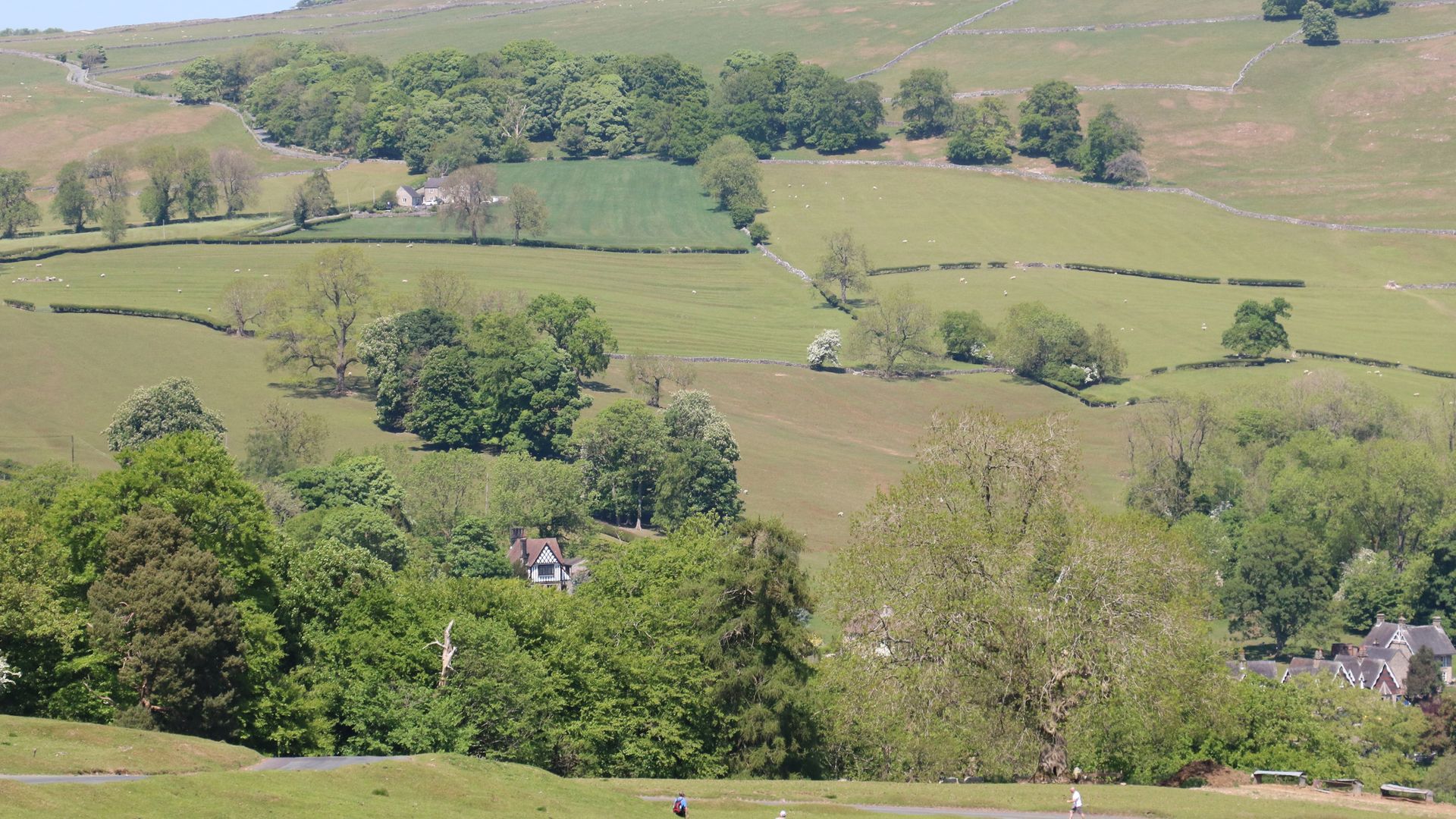 Manifold Dale photo 8