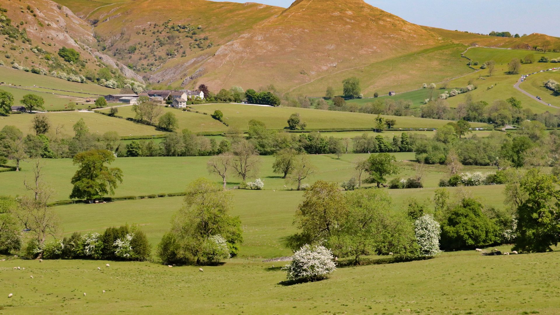 Dovedale photo 6