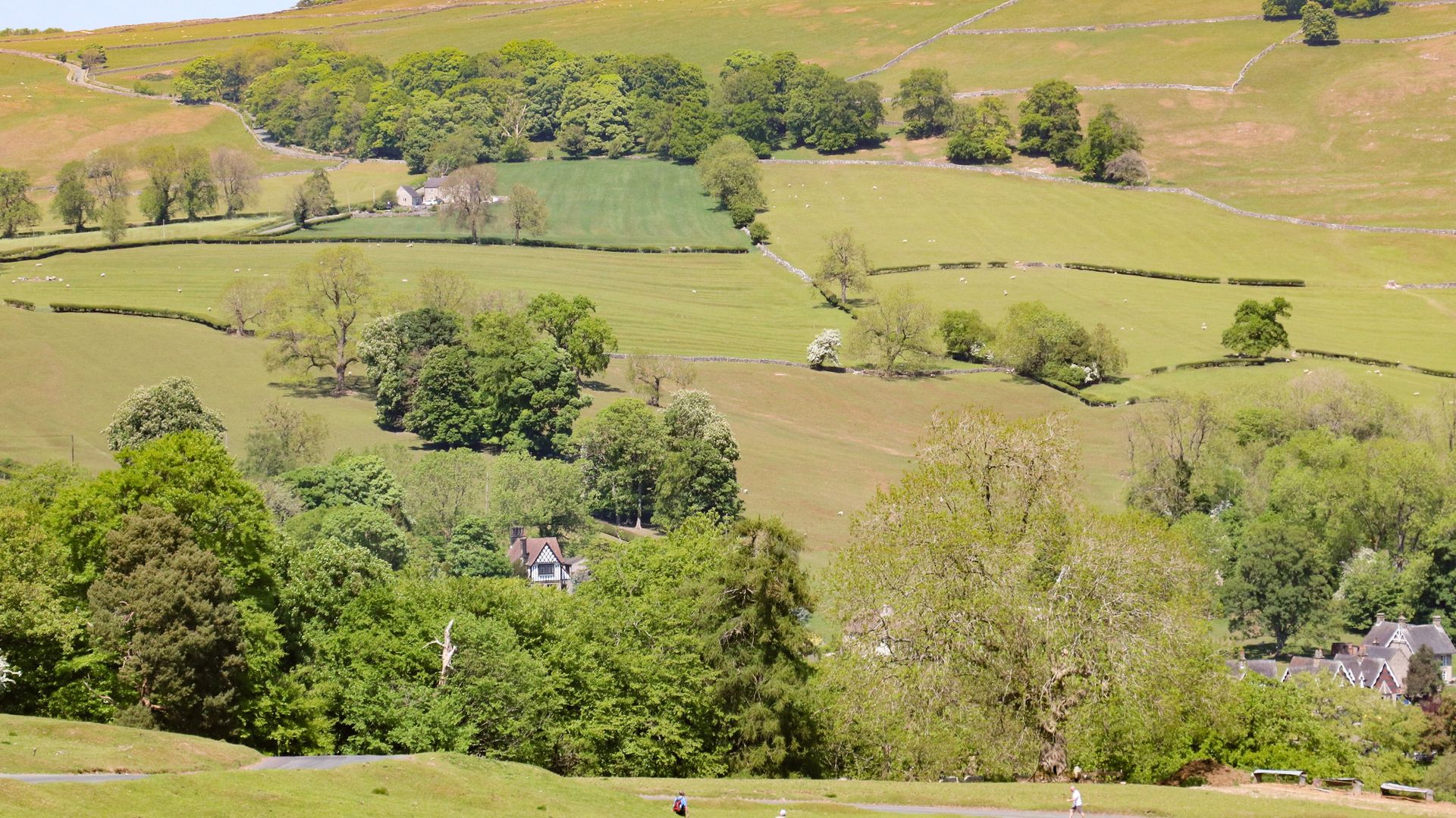 Dovedale photo 7