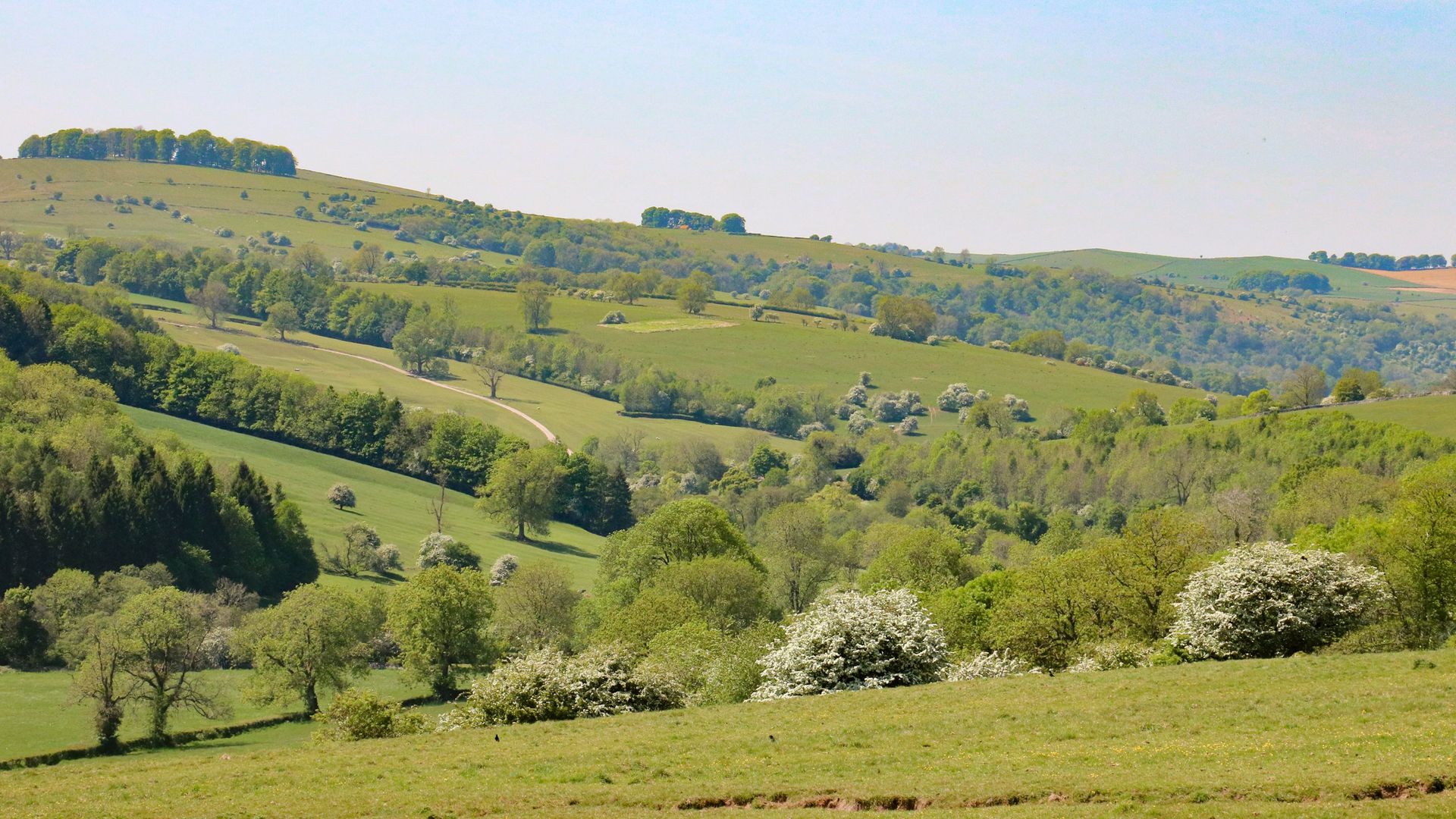 Dovedale photo 8